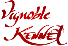 Vignoble Kennel